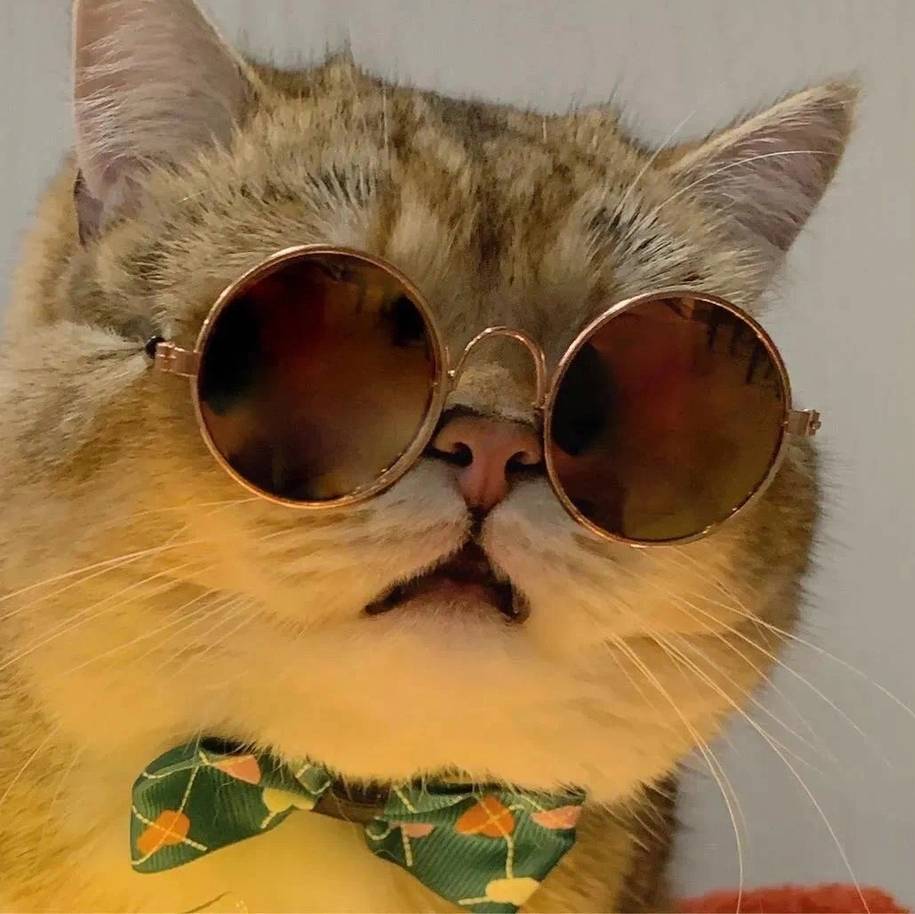 Profile Image of the Author